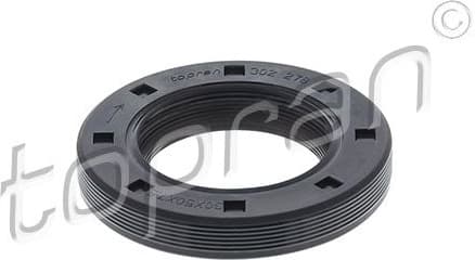 Shaft Seal, crankshaft 302 278