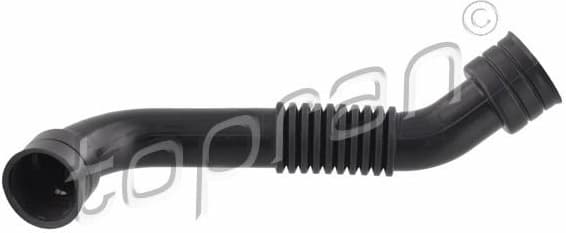 Hose, cylinder head cover ventilation 116 536