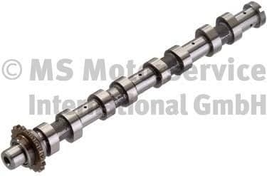 Camshaft 50007094