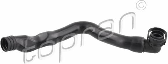 Hose, cylinder head cover ventilation 116 346