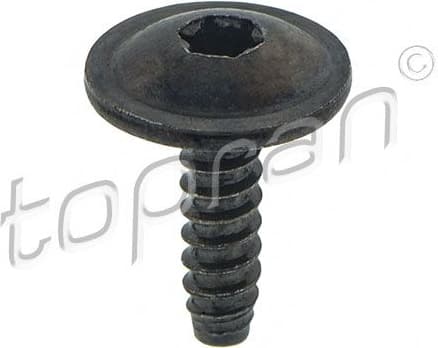 Screw 115 717