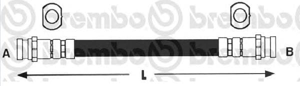 Brake hose rear NI21.725