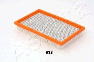 Air Filter 20-09-918