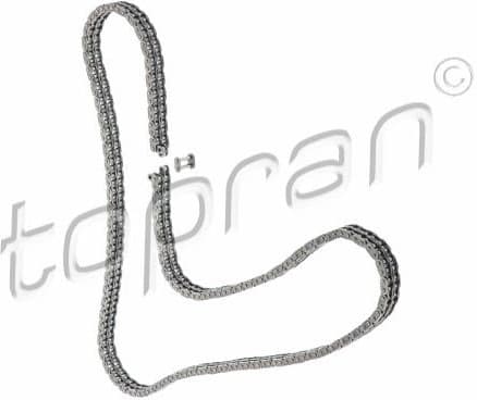 Timing Chain 408 574