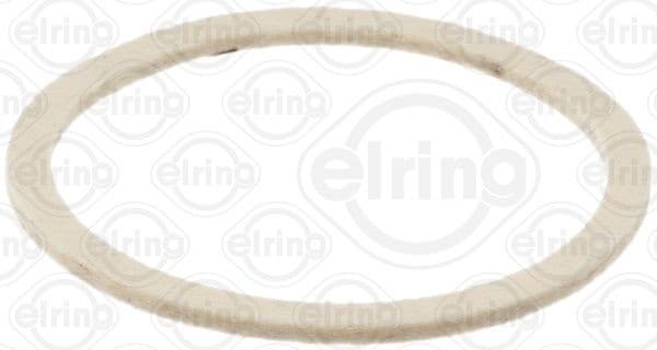 Seal Ring 100.706