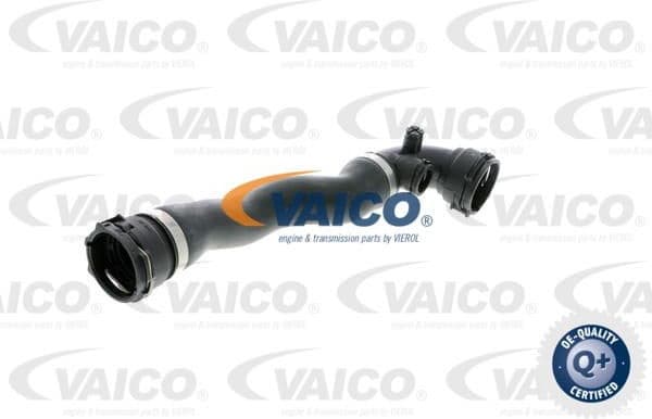 Radiator Hose Q+, original equipment manufacturer quality V200867