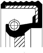 Shaft Seal, camshaft 12014733B