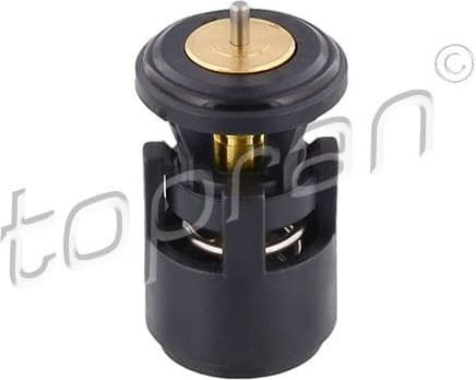 Thermostat, coolant 100616