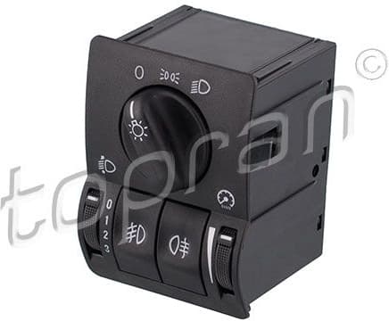 Switch, headlight 205900