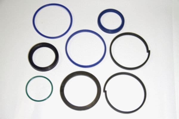 Seal Ring 19334718