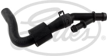 Heater Hose 021801