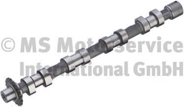 Camshaft 50007010