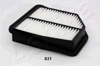 Air Filter 20-08-831