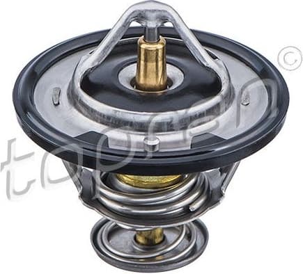 Thermostat, coolant 820353