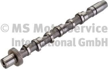 Camshaft 50006346