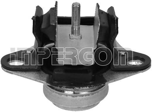 variklio montavimas 31624