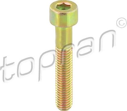 Bolt, brake caliper 110708