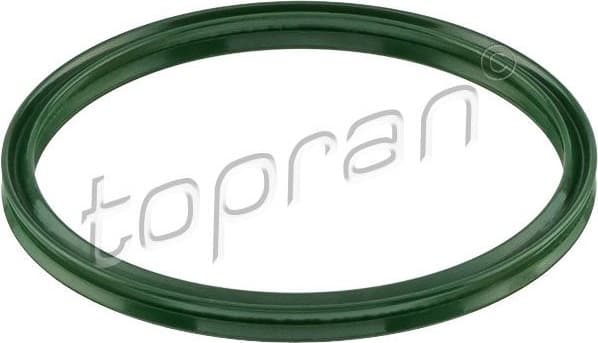 Seal Ring, charge air hose 115070
