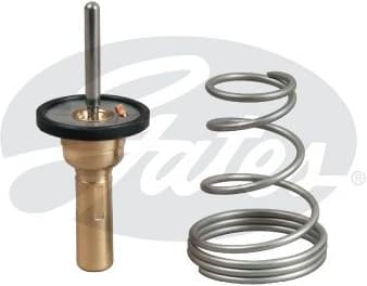 Thermostat, coolant TH49788G1