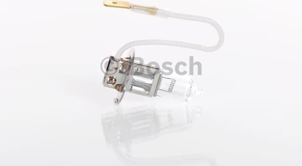 Bulb, front fog light Trucklight WS 1987302431 - image 2