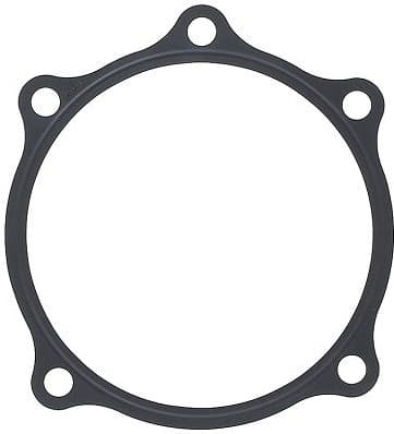 Oil Seal, manual transmission 481.380