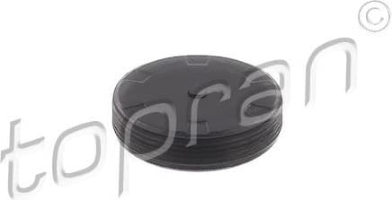 Frost Plug 113 317