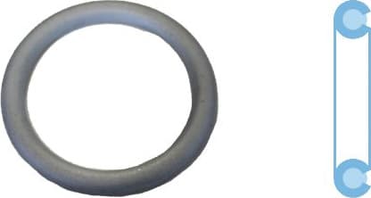 Seal Ring, oil drain plug 005507S