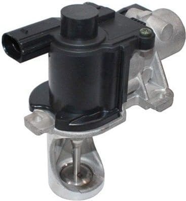 EGR Valve 571822112079