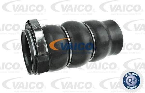 Charge Air Hose Original VAICO Quality V420606