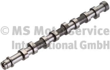Camshaft 50007083