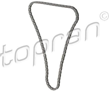 Timing Chain 205 837