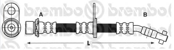 Brake hose front TO21.783