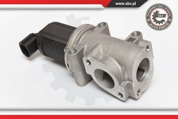 EGR Valve 14SKV055