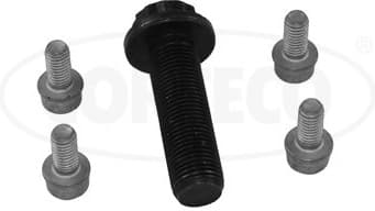 Bolt Set, crankshaft pulley 80005271
