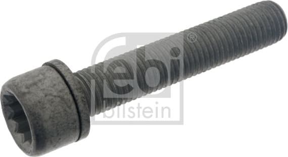 Bolt, brake caliper 48817