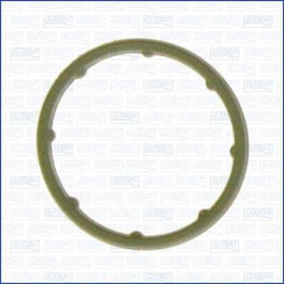 Gasket, oil cooler 01102400
