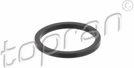 Seal Ring, injector 100 677