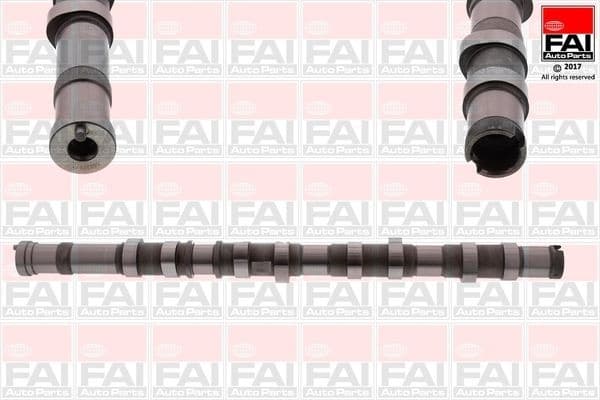 Camshaft C371