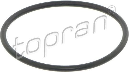 Seal Ring 408 845