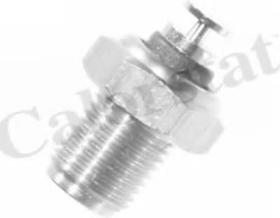 Sensor water temperature WS2521