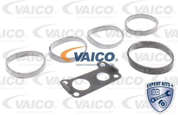 Intake Manifold Module EXPERT KITS + V301583 - image 2