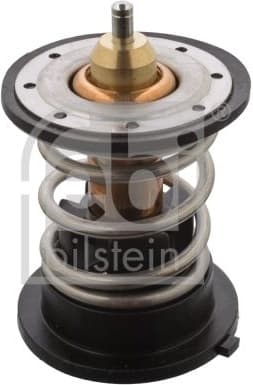 Thermostat, coolant 105993