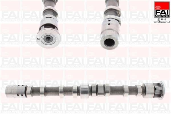 Camshaft C394