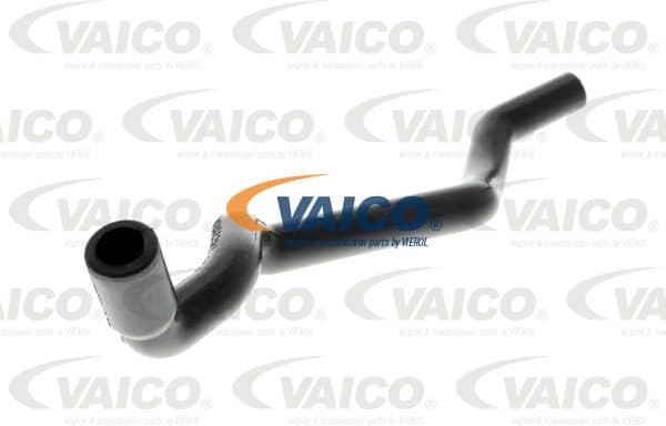 Hose, cylinder head cover ventilation Original VAICO Quality V301612