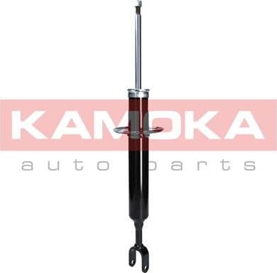 Shock absorber front 2000028