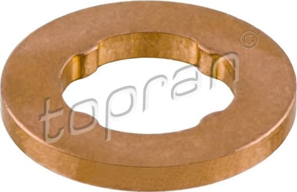 Seal Ring, injector 114 581