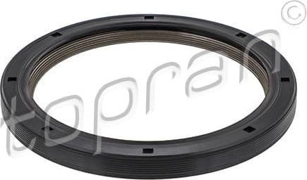 Shaft Seal, crankshaft 302 172