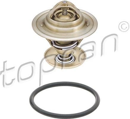 Thermostat, coolant 100 573