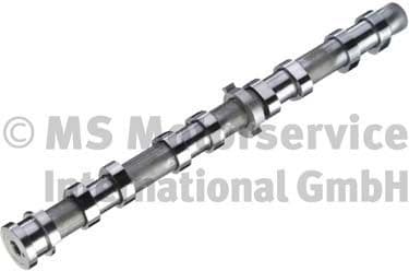 Camshaft 50007672