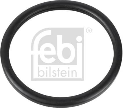 Seal, thermostat 10255